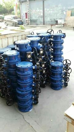 遠(yuǎn)大閥門(mén)集團(tuán)陜西銷售處 連接品質(zhì)與需求的專業(yè)紐帶